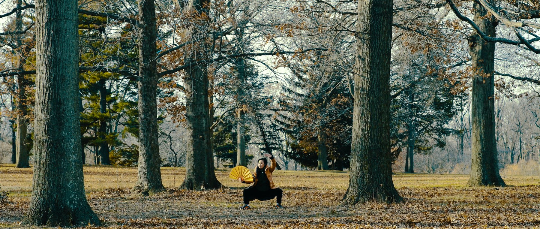 Still from The Hua Mei Orchestra